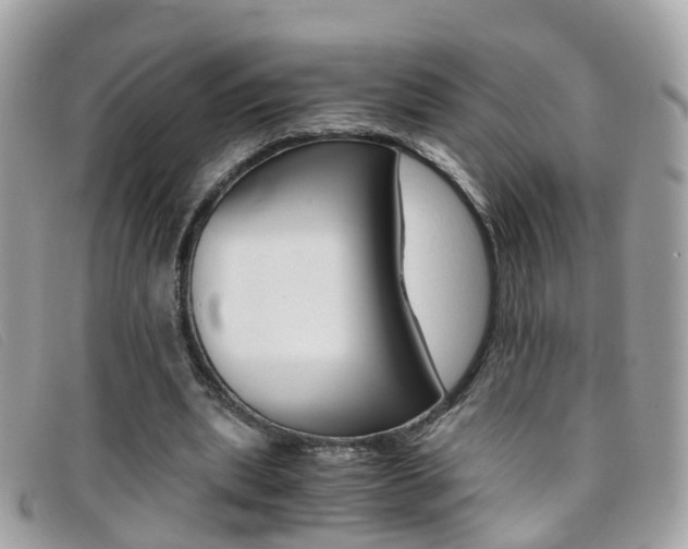X0000095950439200801110919