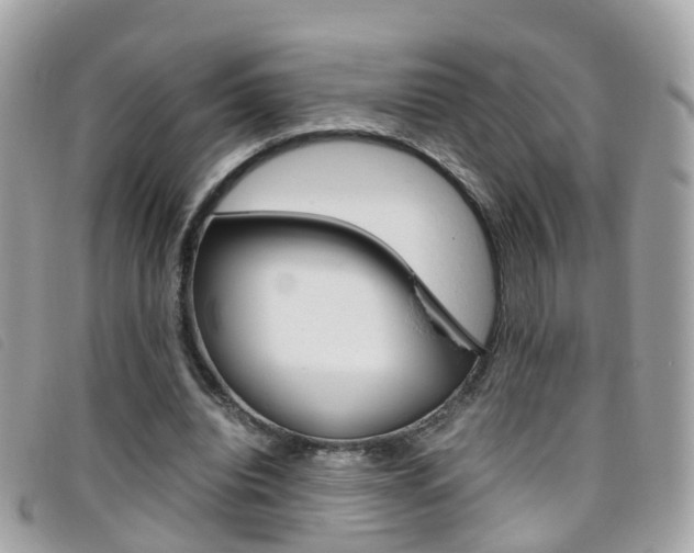 X0000095950440200801110919