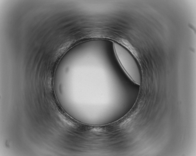 X0000095950441200801110919