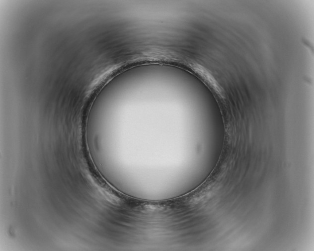 X0000095950442200801110919