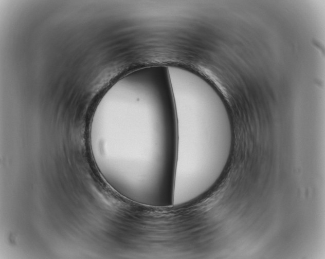 X0000095950443200801110919