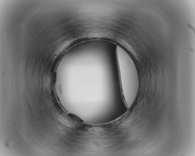 X0000095950444200801110919