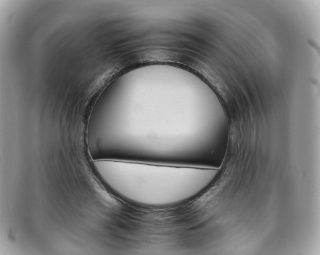 X0000095950445200801110919