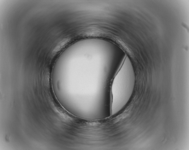 X0000095950446200801110919