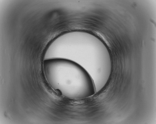 X0000095950447200801110919