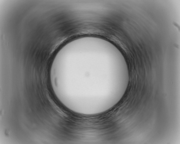 X0000095950448200801110919