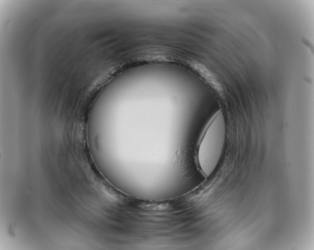 X0000095950449200801110919