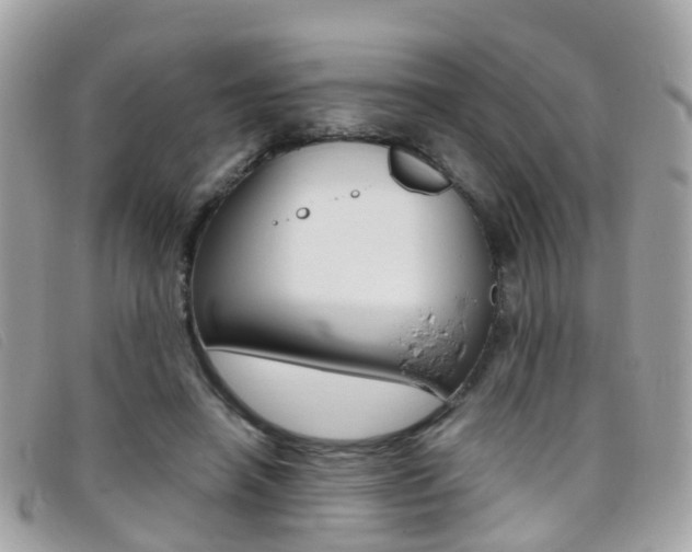 X0000095950450200801110919