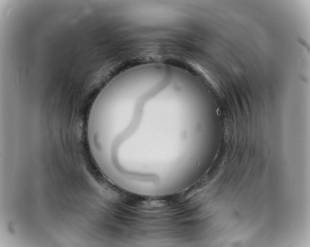 X0000095950451200801110919