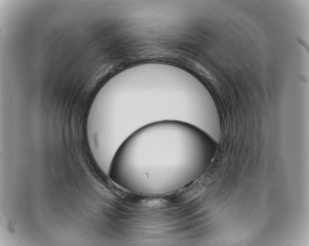 X0000095950452200801110919