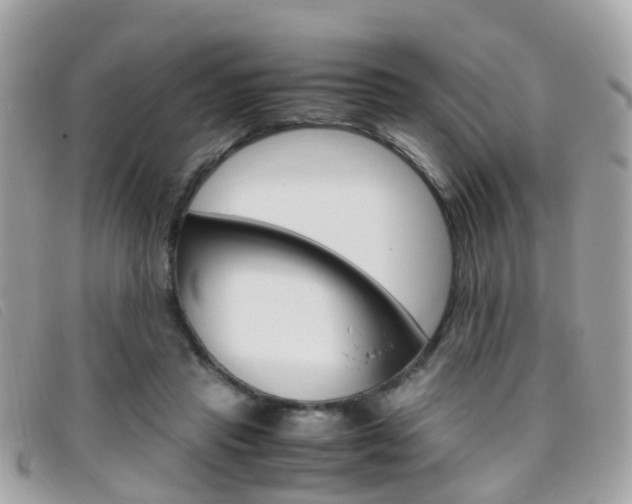 X0000095950453200801110919