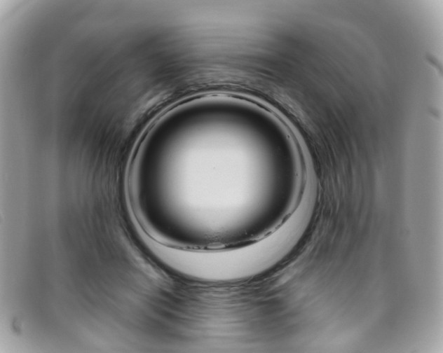 X0000095950454200801110919