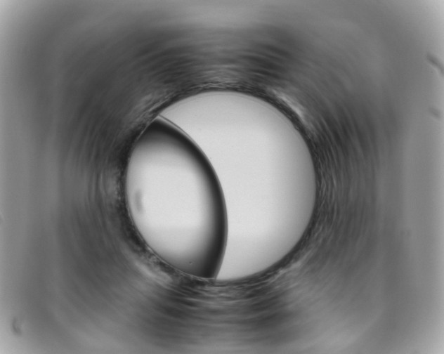 X0000095950455200801110919