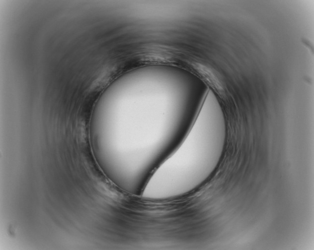X0000095950457200801110919