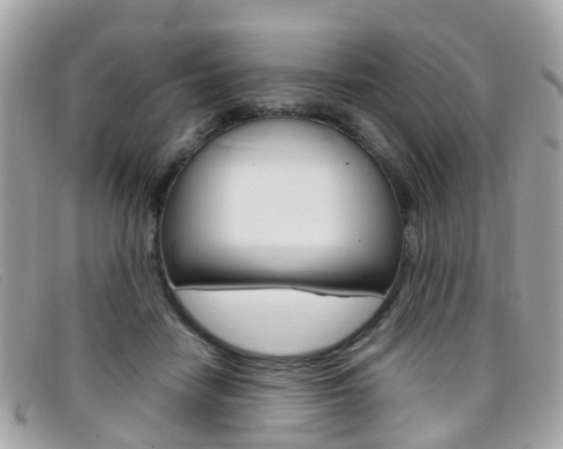 X0000095950458200801110919