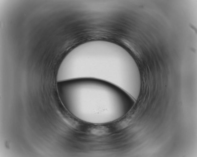 X0000095950459200801110919