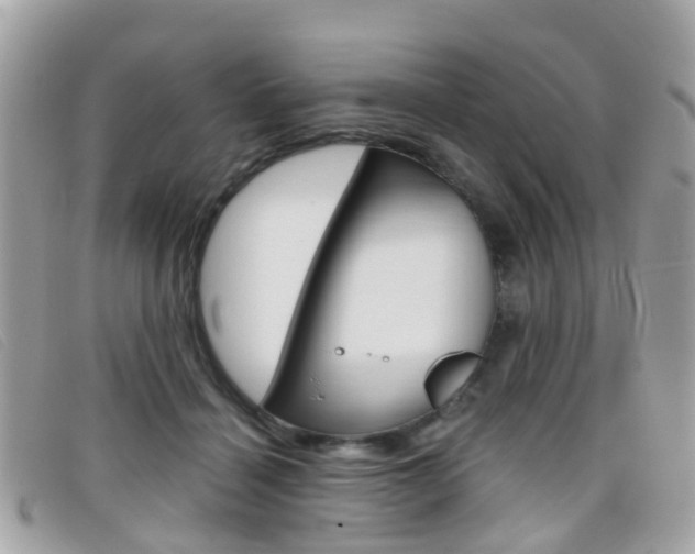 X0000095950460200801110919
