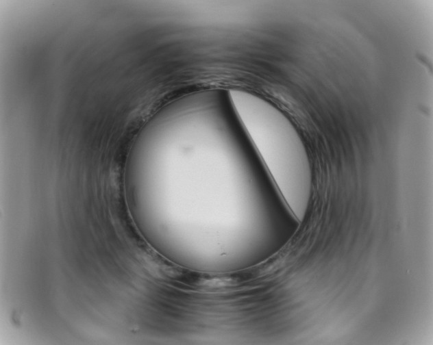 X0000095950461200801110919