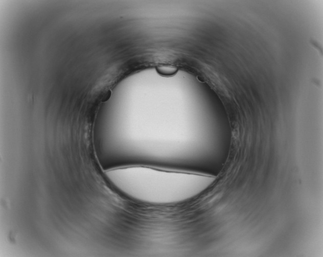 X0000095950462200801110919