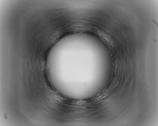 X0000095950463200801110919