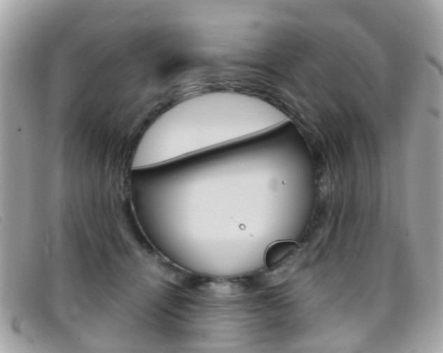 X0000095950464200801110919