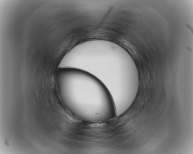 X0000095950465200801110919