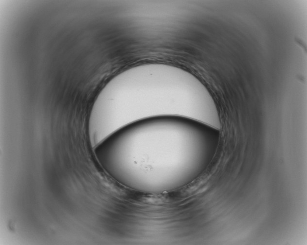 X0000095950466200801110919