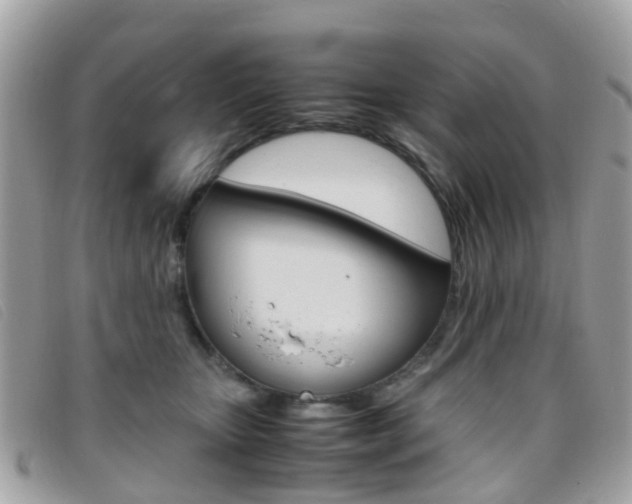 X0000095950467200801110919