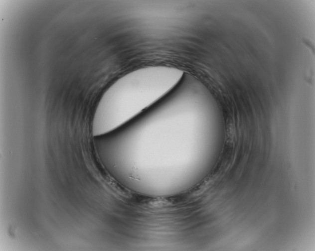 X0000095950468200801110919