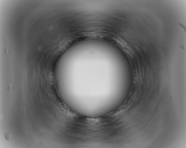 X0000095950469200801110919