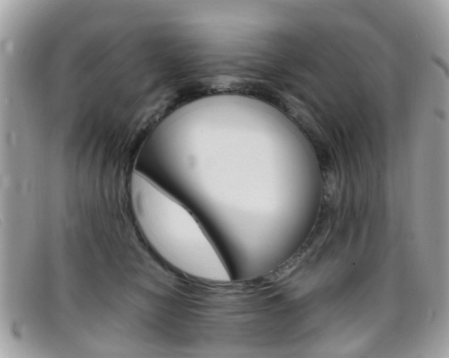 X0000095950470200801110919