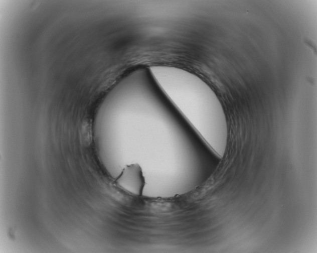 X0000095950471200801110919