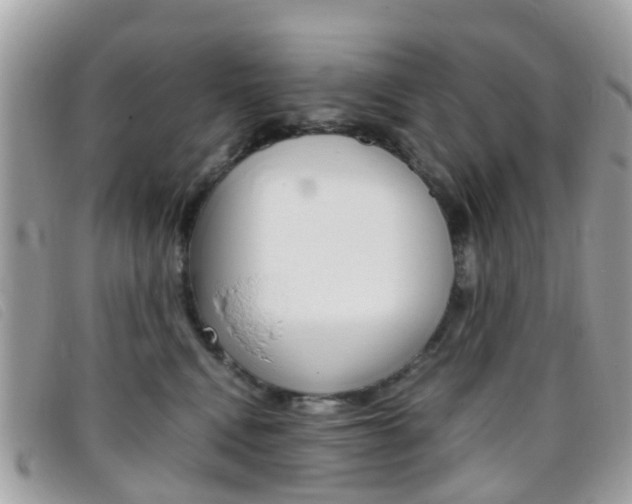 X0000095950472200801110919