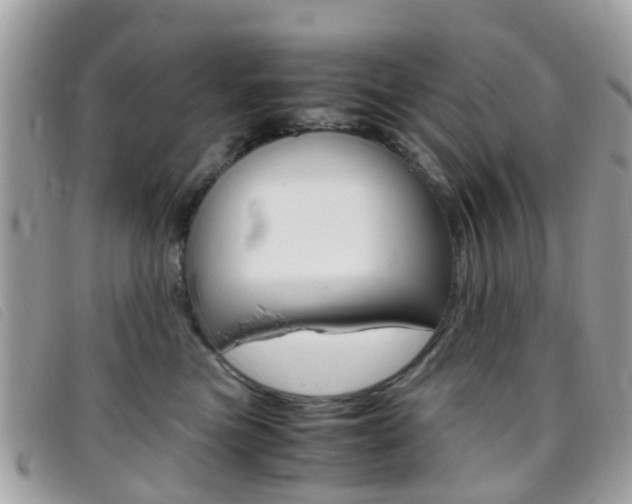 X0000095950473200801110919