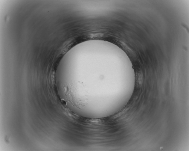X0000095950475200801110919