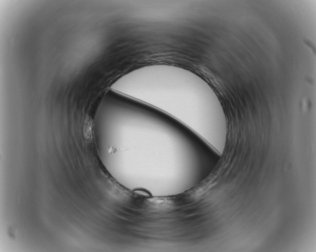 X0000095950477200801110919