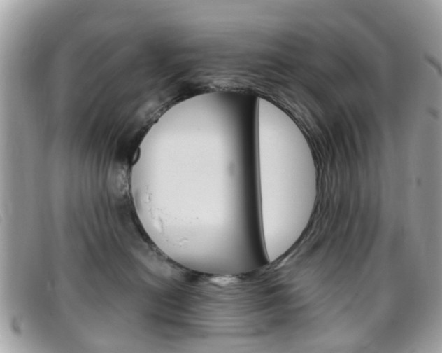 X0000095950478200801110919