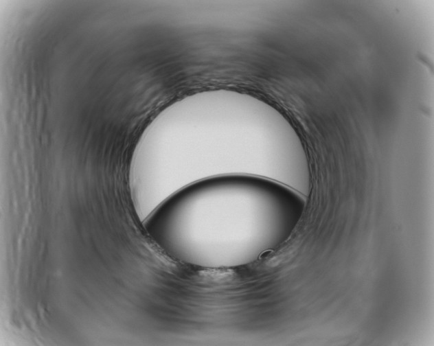 X0000095950480200801110919
