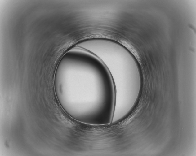 X0000095950481200801110919