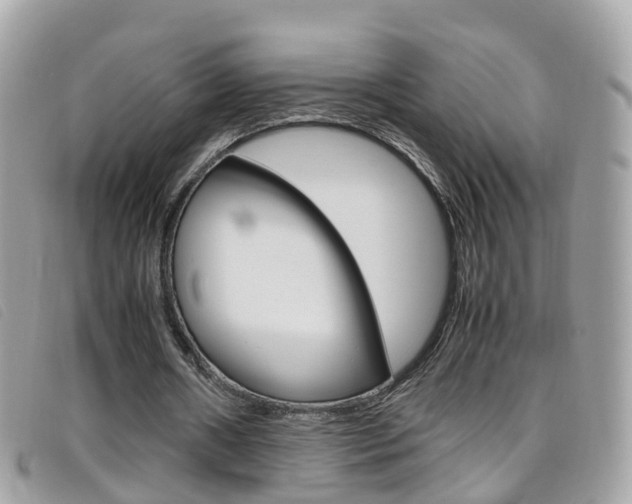 X0000095950482200801110919