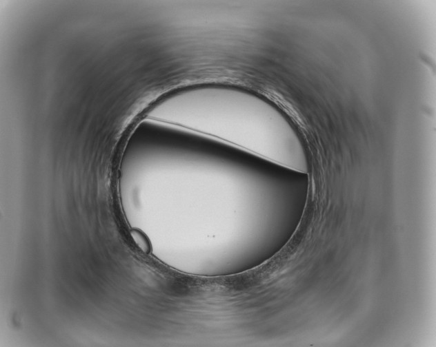 X0000095950483200801110919
