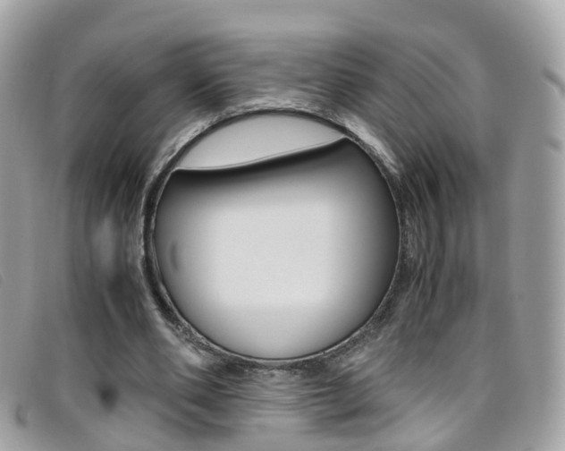 X0000095950486200801110919