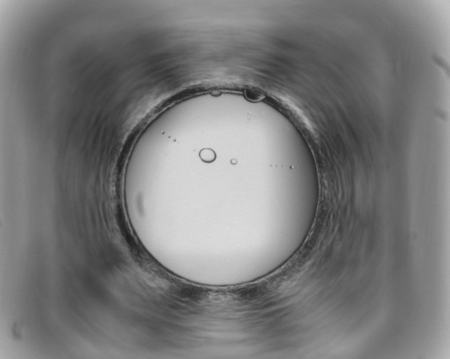 X0000095950487200801110919