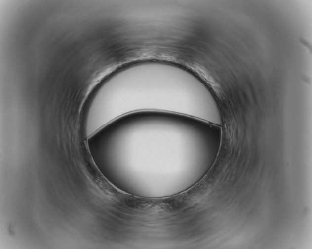 X0000095950488200801110919