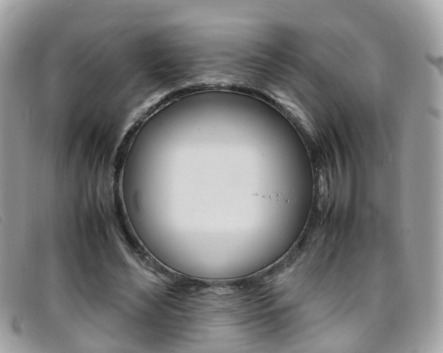 X0000095950492200801110918