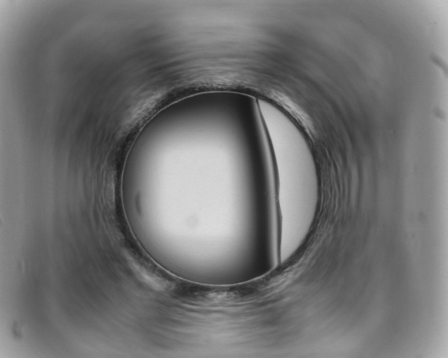 X0000095950493200801110918