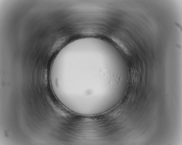 X0000095950494200801110918