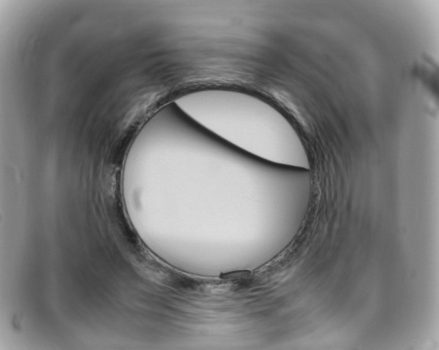 X0000095950495200801110918