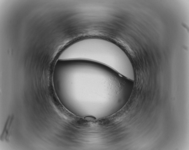 X0000095950496200801110918