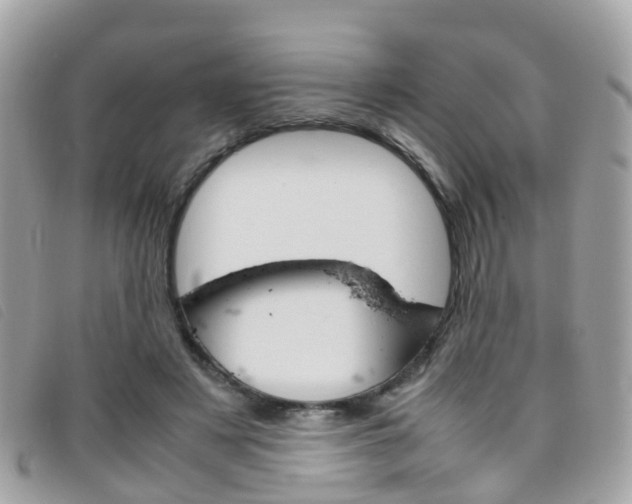 X0000095950497200801110918